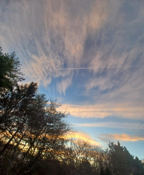 CCB_NOVA's tweet image. 🚨 7am in NoVA Thanksgiving morning and our government is serving up hefty dose of poison in our skies.  Our government hates us. @potus, this is quite a bullsh*t &apos;Golden Age&apos;.
👀👇👇👇
#ReclaimOurSkies  #TheClearSkiesMovement #StopGeoengineering #chemtrails #TakeBackOurSkies
