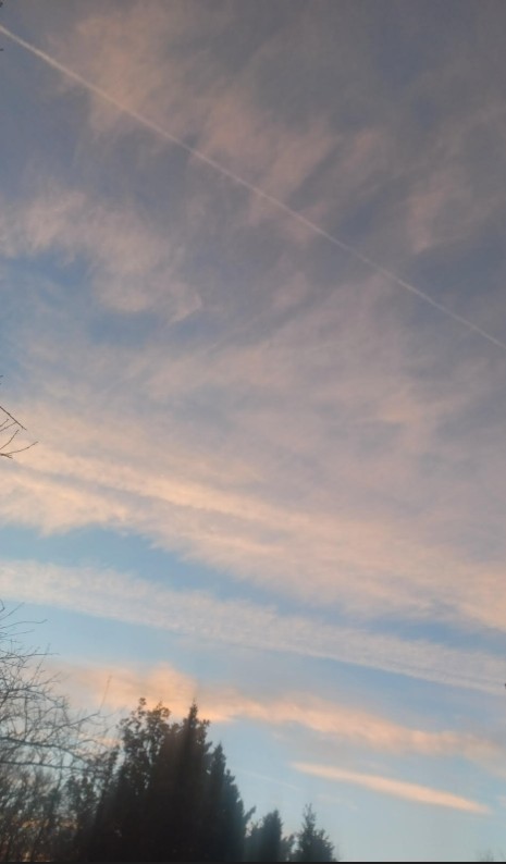 CCB_NOVA's tweet image. 🚨 7am in NoVA Thanksgiving morning and our government is serving up hefty dose of poison in our skies.  Our government hates us. @potus, this is quite a bullsh*t &apos;Golden Age&apos;.
👀👇👇👇
#ReclaimOurSkies  #TheClearSkiesMovement #StopGeoengineering #chemtrails #TakeBackOurSkies