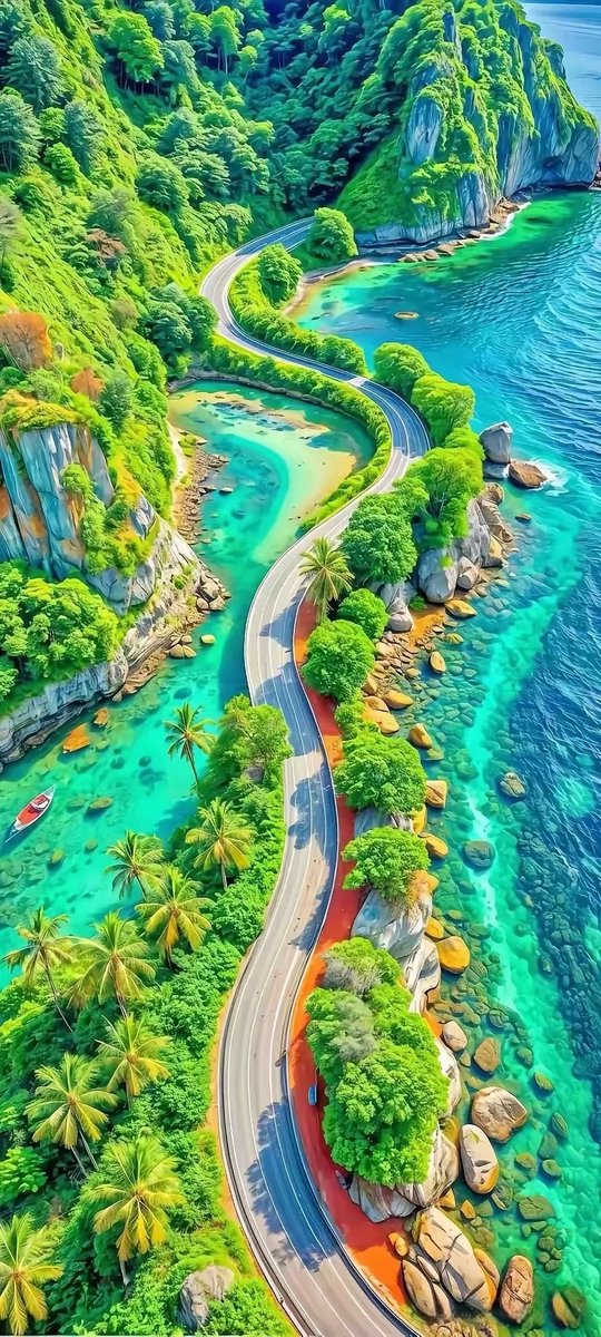 paigebulgis's tweet image. NALKIOMSONSNISNSKS12