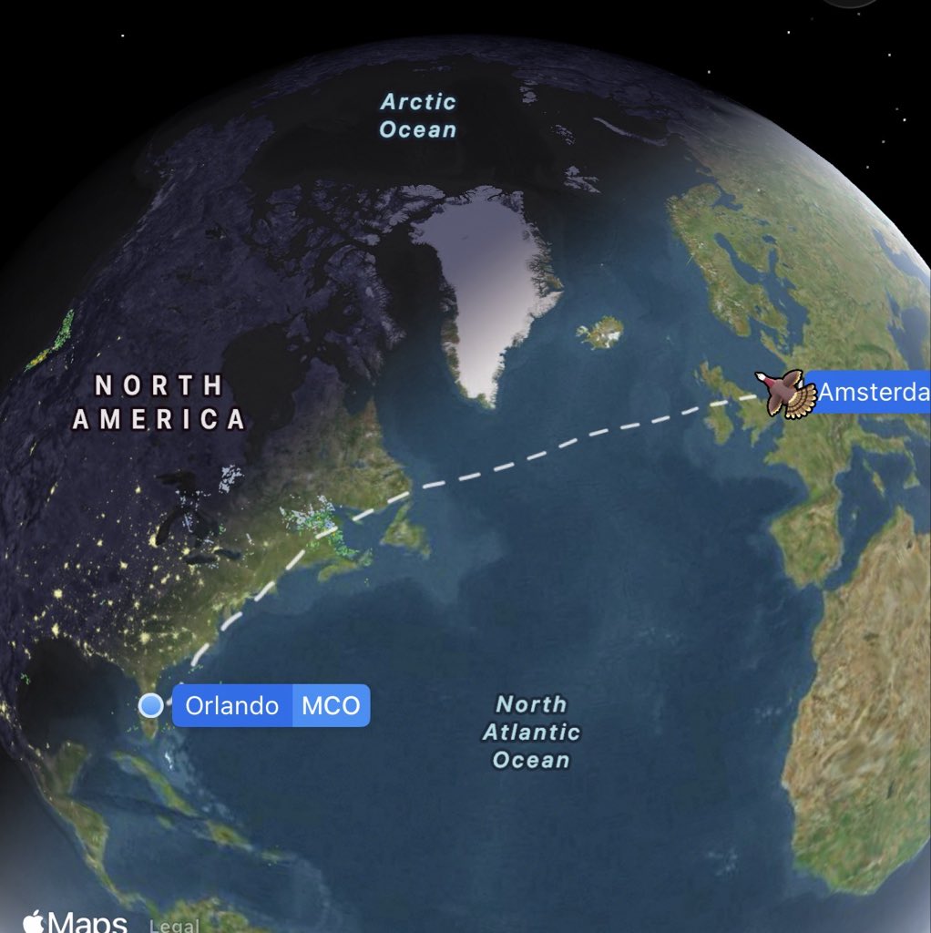 Weeeeeeeeeeeeeeeeeeeeee