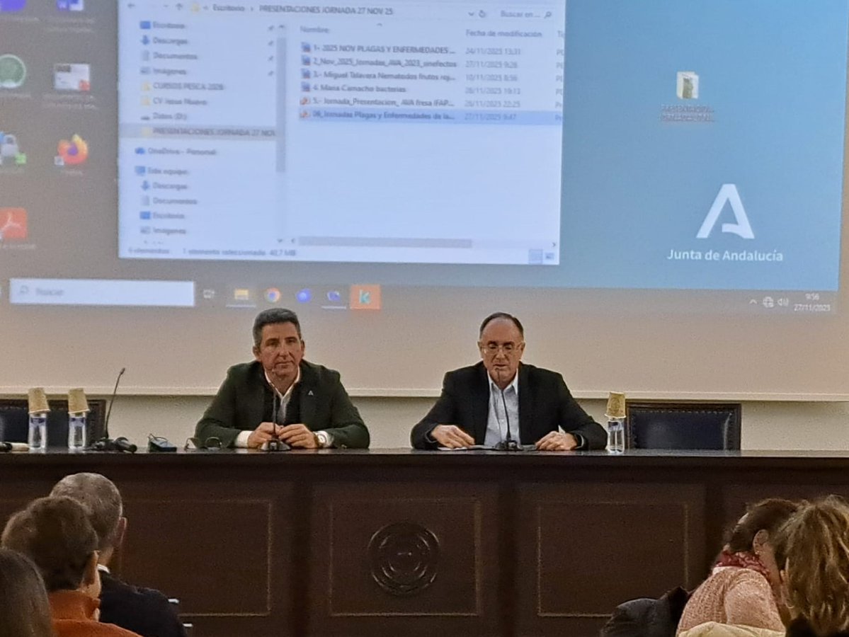 La <a href="/AndaluciaJunta/">Junta de Andalucía</a> analiza en #Huelva el impacto de plagas y enfermedades en el cultivo de #FrutosRojos🍓

Los investigadores del #IFAPA han estudiado la eficacia de técnicas no químicas de desinfestación de suelos y la resistencia de patógenos

🌐Más en: lajunta.es/644vs