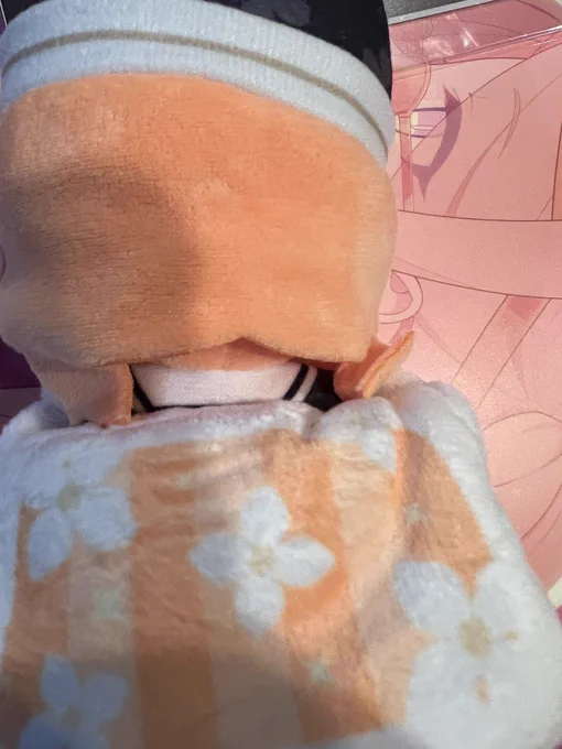 ぬいぐるみ、マリーだったんだけど これ体もちゃんと作られてるし布団から出せるしマグネットでくっつくようになってるし背中エッッッッッッッ って思ったら服だったわ