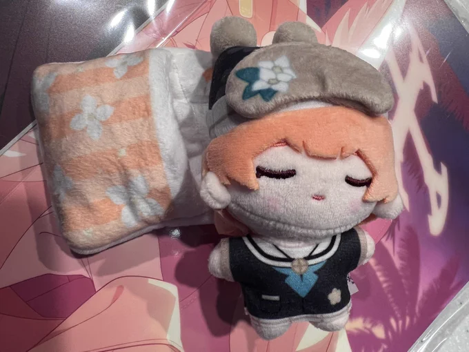 ぬいぐるみ、マリーだったんだけど これ体もちゃんと作られてるし布団から出せるしマグネットでくっつくようになってるし背中エッッッッッッッ って思ったら服だったわ