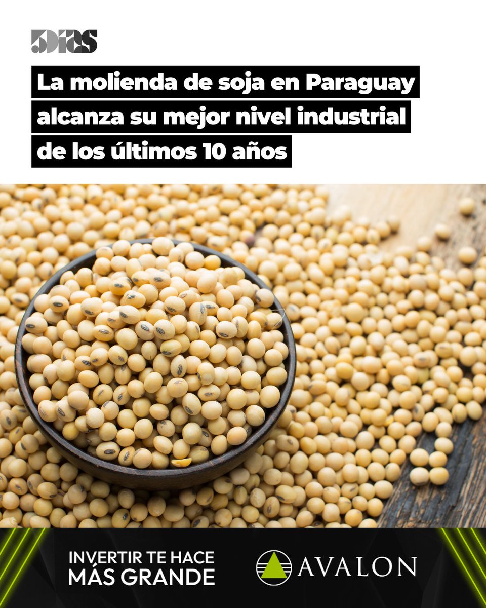 5Días tweet media