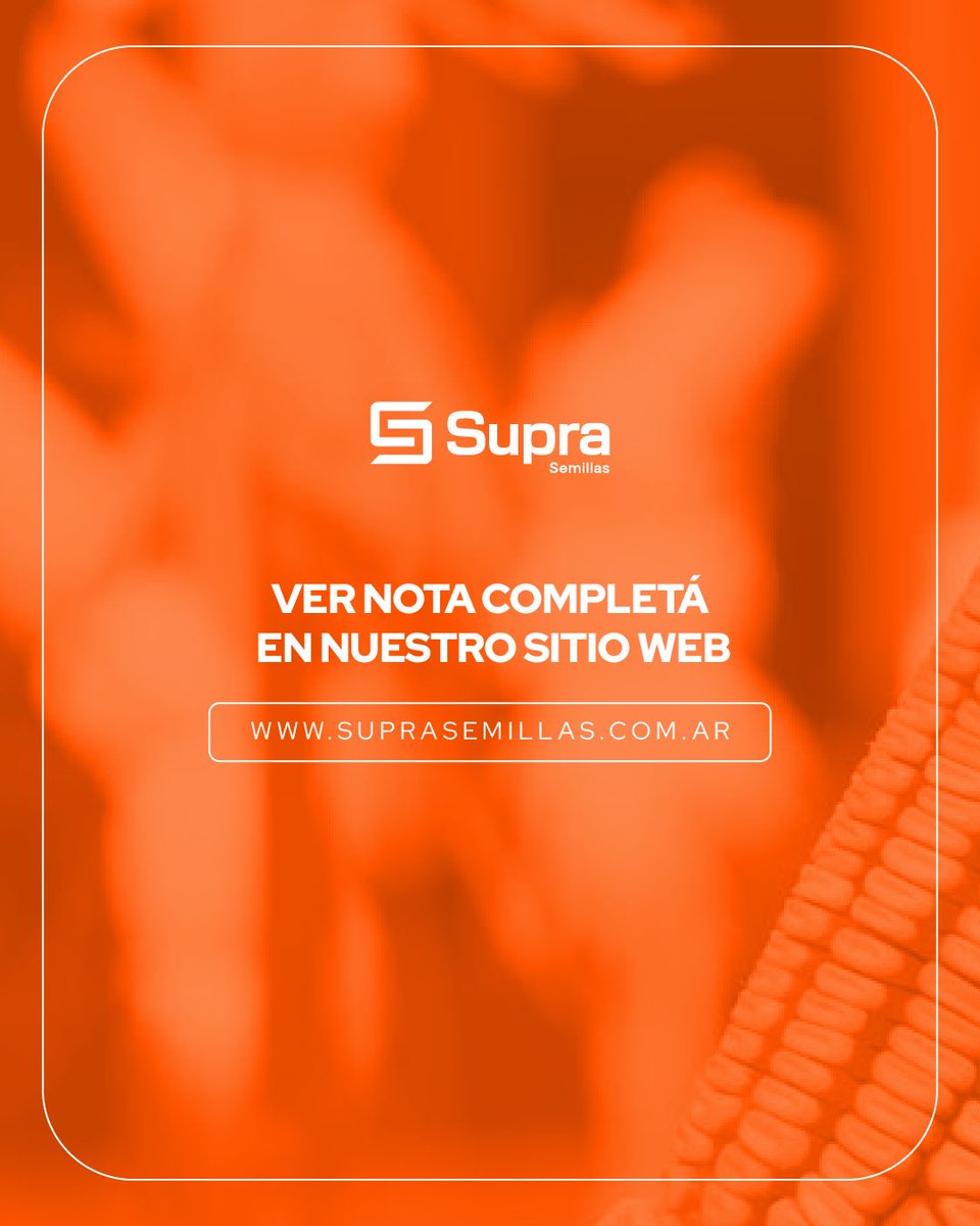 👉🏼 Si querés profundizar y ver el análisis completo, leé la nota en nuestro sitio web que podés encontrar en el link de la biografía.