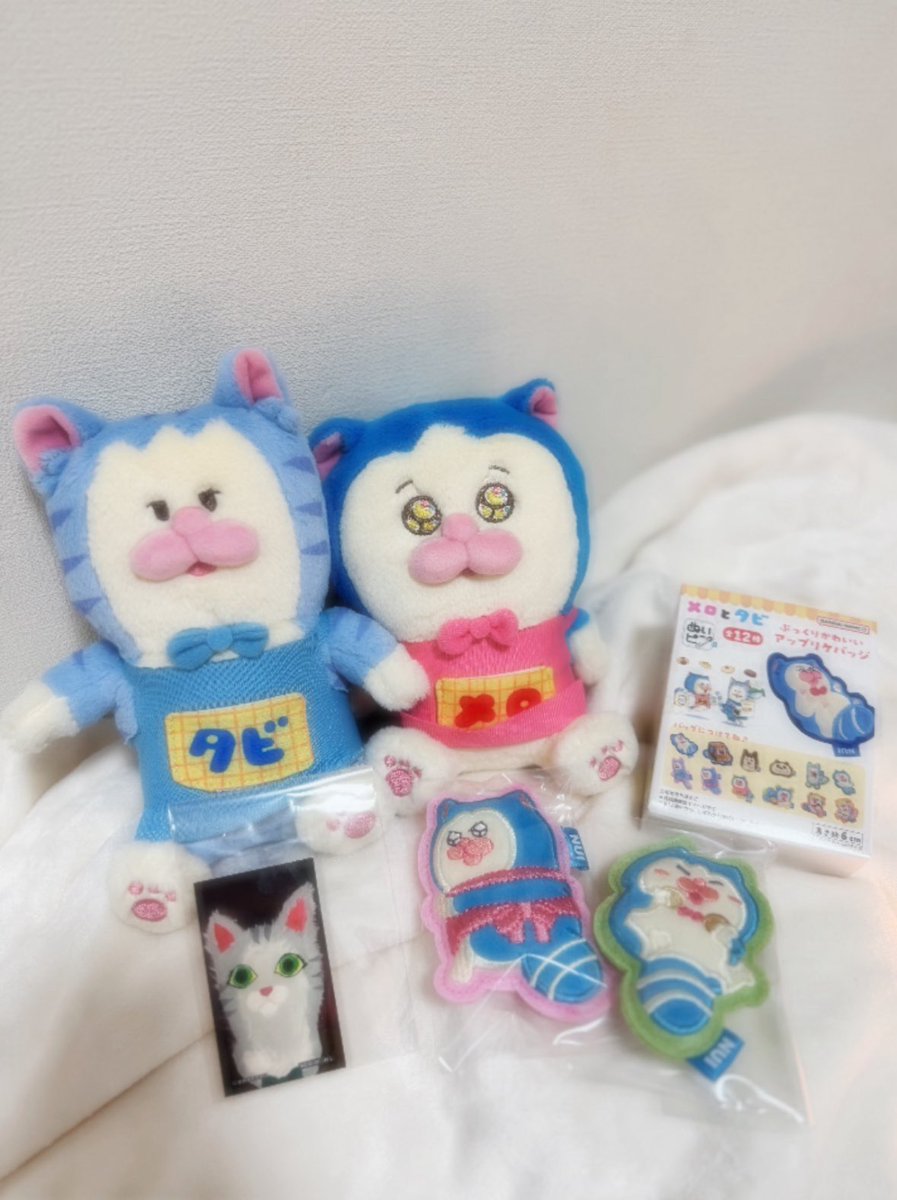 まめきちまめこ (@mamekichirou) / Posts / X