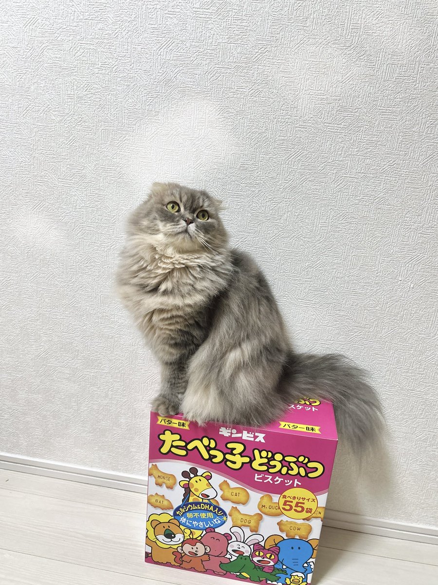 TSUKUNE_KAWAII's tweet photo. 久々の投稿
誰か見てくれるかな🥺 https://t.co/xu7HGhRtef