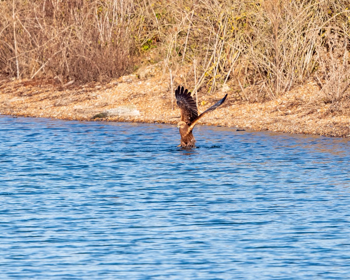 Phill Gwilliam tweet media