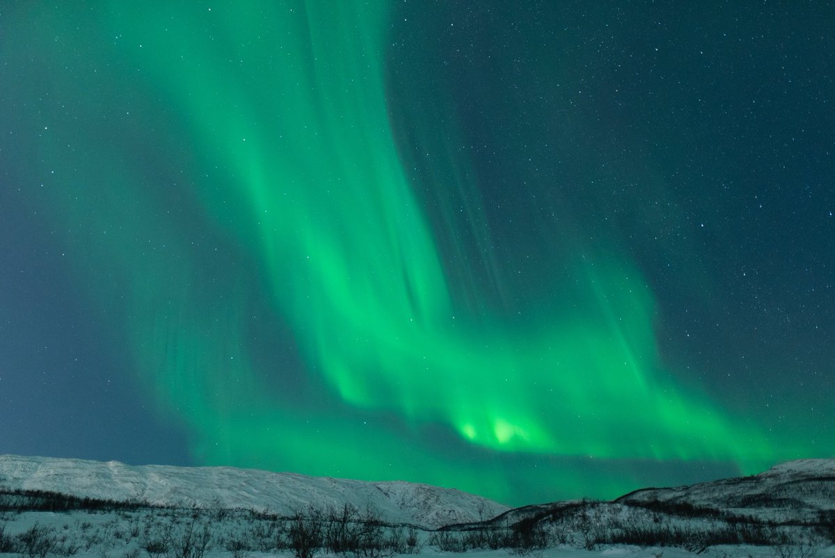 yasammez tweet media