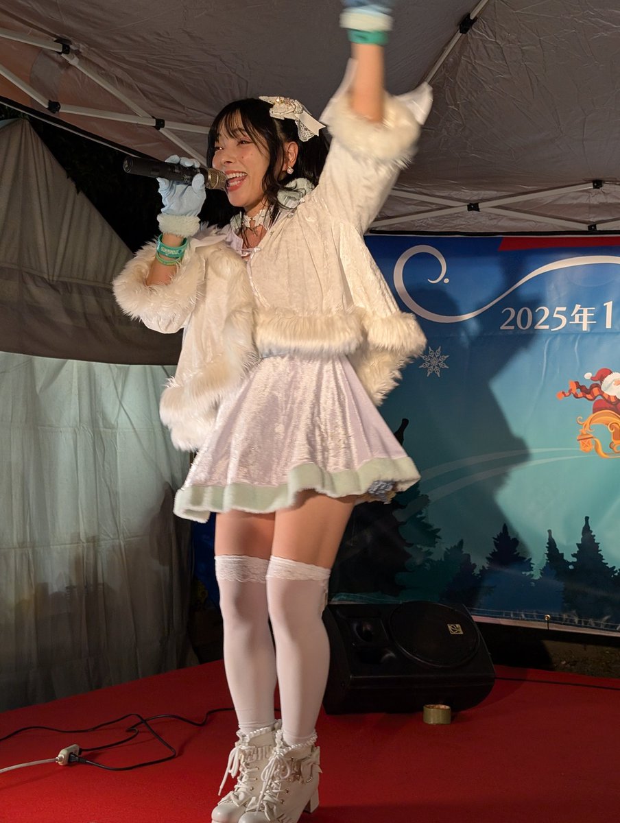 2025年11月27日の東京都台東区上野恩賜公園不忍池付近の、鈴音