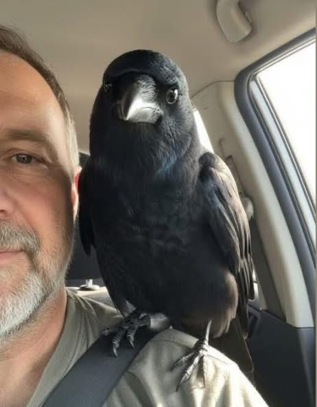 alainpaulweber's tweet image. « Elle vient de fêter ses 6 ans ce mois-ci, et je me souviens du jour où je l&apos;ai trouvée comme si c&apos;était hier. Elle n&apos;avait même pas un jour, toute petite et fragile, les yeux fermés, et honnêtement, je ne savais pas si elle survivrait jusqu&apos;au matin. Mais elle l&apos;a fait. Et à…