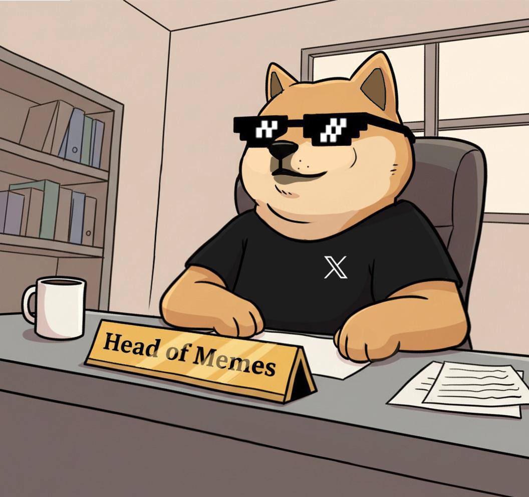 JimiSendrix69's tweet image. $DANKDOGE there’s a storm a’brewin ⚡️

I’ve just listened to @KingOnEth space from  last night….

YOU ARE NOT BULLISH ENOUGH ⚡️

If 50% of what was said in last nights space are true, #dankdoge will go over $1b

I’ve just bought more, I get more #bullish by the day on…