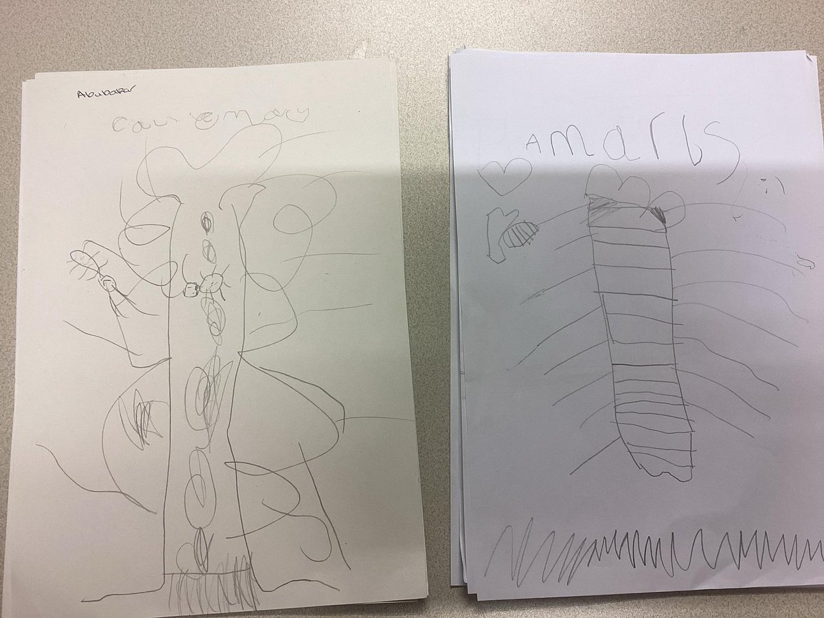 In Welly Time, Reception were using their sense of sight to look closely to draw a tree from real life. They looked at the roots, trunk, bark, branches &amp; twigs. They looked carefully &amp; thought about the marks they made. 🪾#findingthelight #flourishingcommunities <a href="/stchris_trust/">St Christopher’s Trust</a>