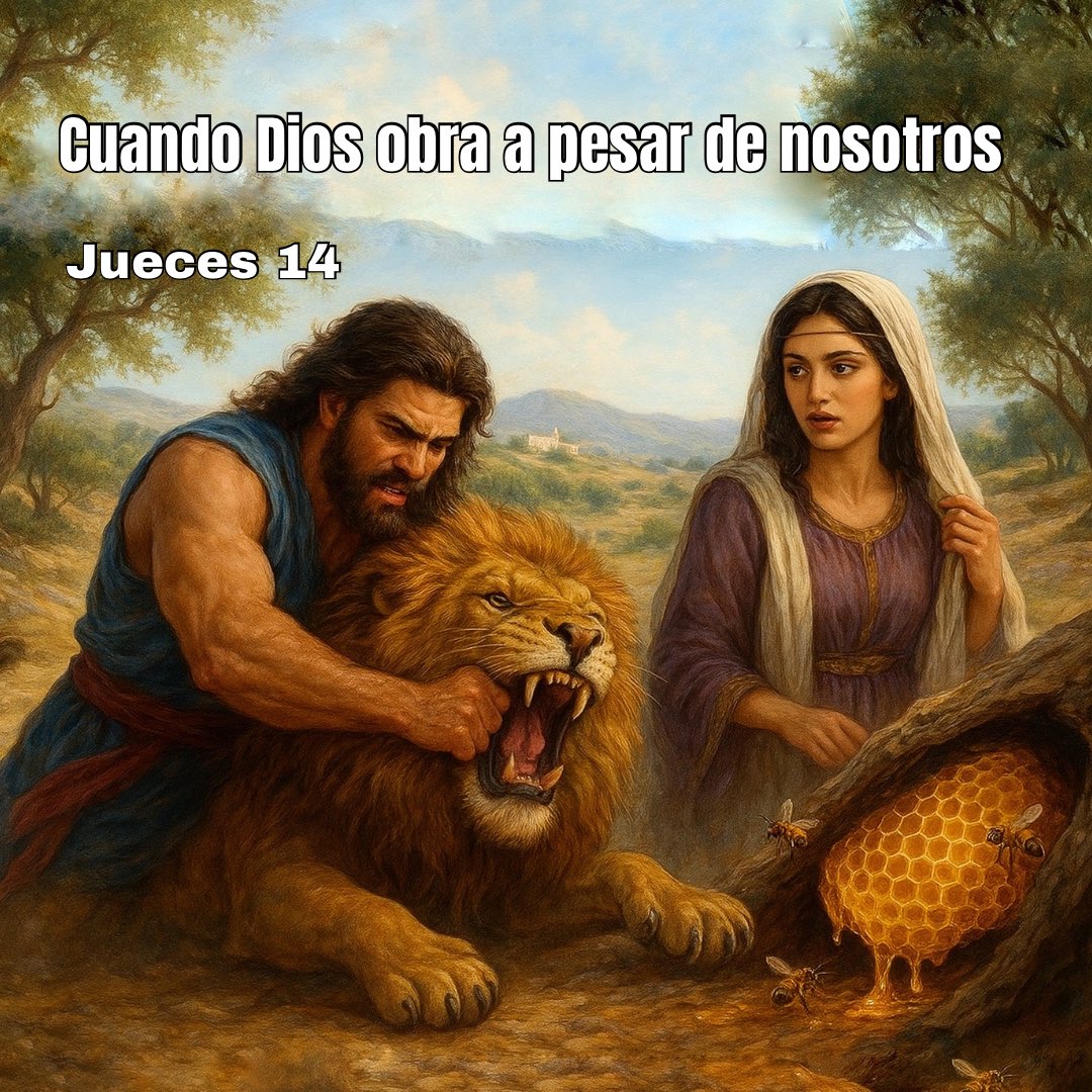 Hoy 𝗗𝗜𝗢𝗦 𝗠𝗘 𝗛𝗔𝗕𝗟𝗢́ a través de su Palabra 📖 en JUECES 14 y me dijo 3 cosas

1️⃣Dios obra incluso en nuestros errores.

2️⃣El Espíritu Santo vence nuestros “leones”.

3️⃣Dios hace dulce lo que fue amargo.

#LeaLaBiblia
#RPSP
#PrimeroDios