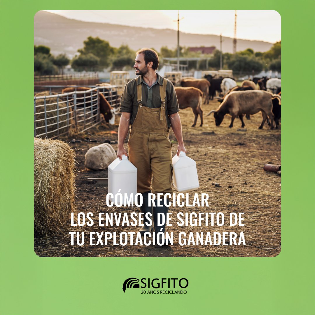 Si eres ganadero, SIGFITO te ayuda a reciclar fácilmente los envases de tu explotación como:
• Sacos de piensos
• Envases de sanidad animal (higienizantes, biocidas…)
• Envases de productos veterinarios
• Flejes
• Cajas de cartón
• Film retráctil
• Palets

📦 Te ofrecemos