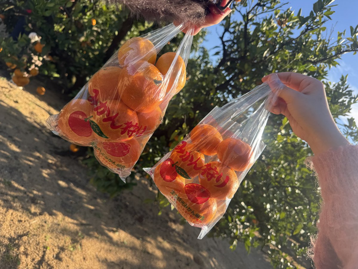 ___82yy's tweet photo. 楽しすぎたねーーー🚌🕯🦐🍊🏝❤️💙 https://t.co/mjMHO3ENC9