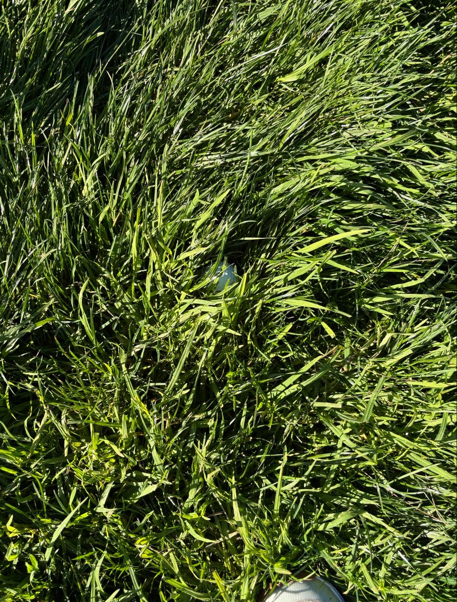 Lou Stagner (Golf Stat Pro) tweet media