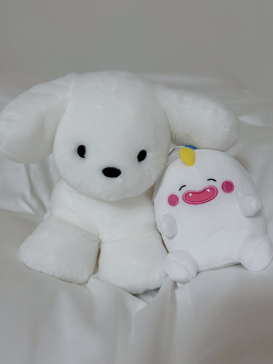 ちゃんみお「プロフィール要確認後購入必須 プロローグ エクスプローラ