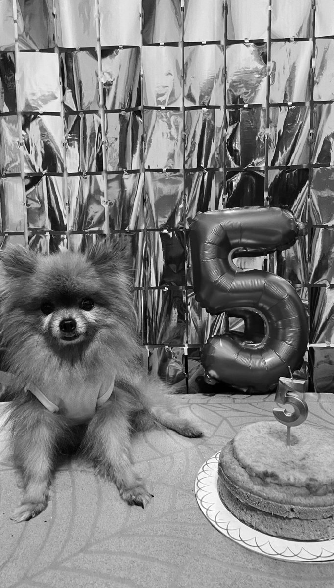 ni_kisen's tweet image. WTS LFB IC QS QUITTING SALE

FOR A CAUSE 🐾

all ni-ki dolls and the photocards are available. 

🏷️ 10cm enhypen ni-ki doll seventeen exo the boyz enhypen photocard pc wts lfb interest check HELP RT