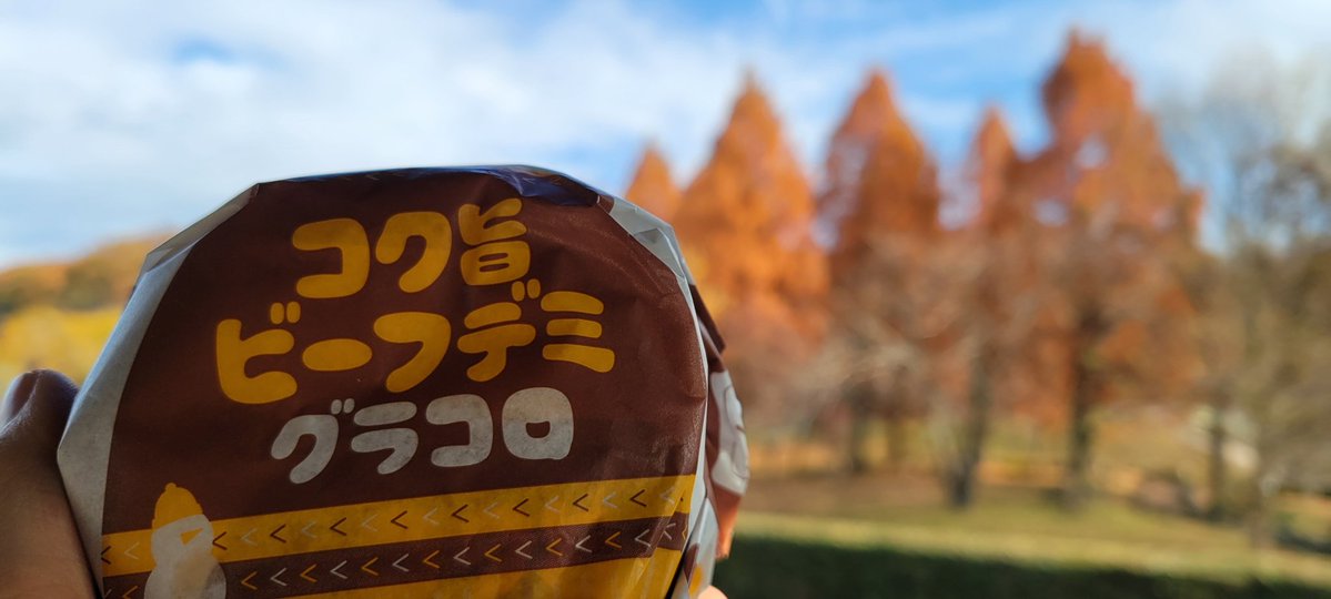 tktk_iruma's tweet image. 今日は飯能でアケボノスギ見たりグラコロ食べたり博物館行ったり図書館で入間市に蔵書のない本借りたりしてきましたへっへっへ