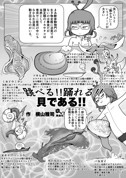 本物のミカドウミウシやん。
#クック先生の動物講座 