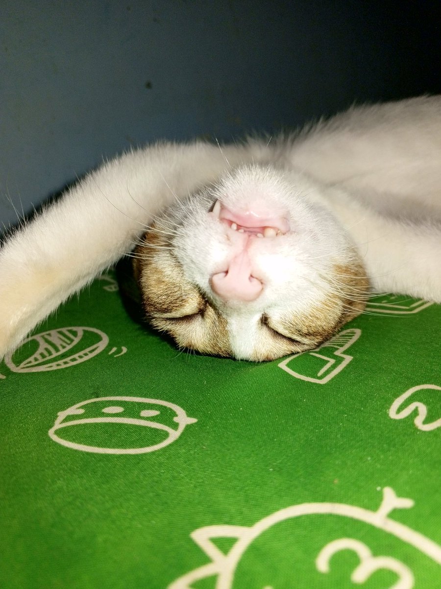 Jes U | asterai.xyz tweet media