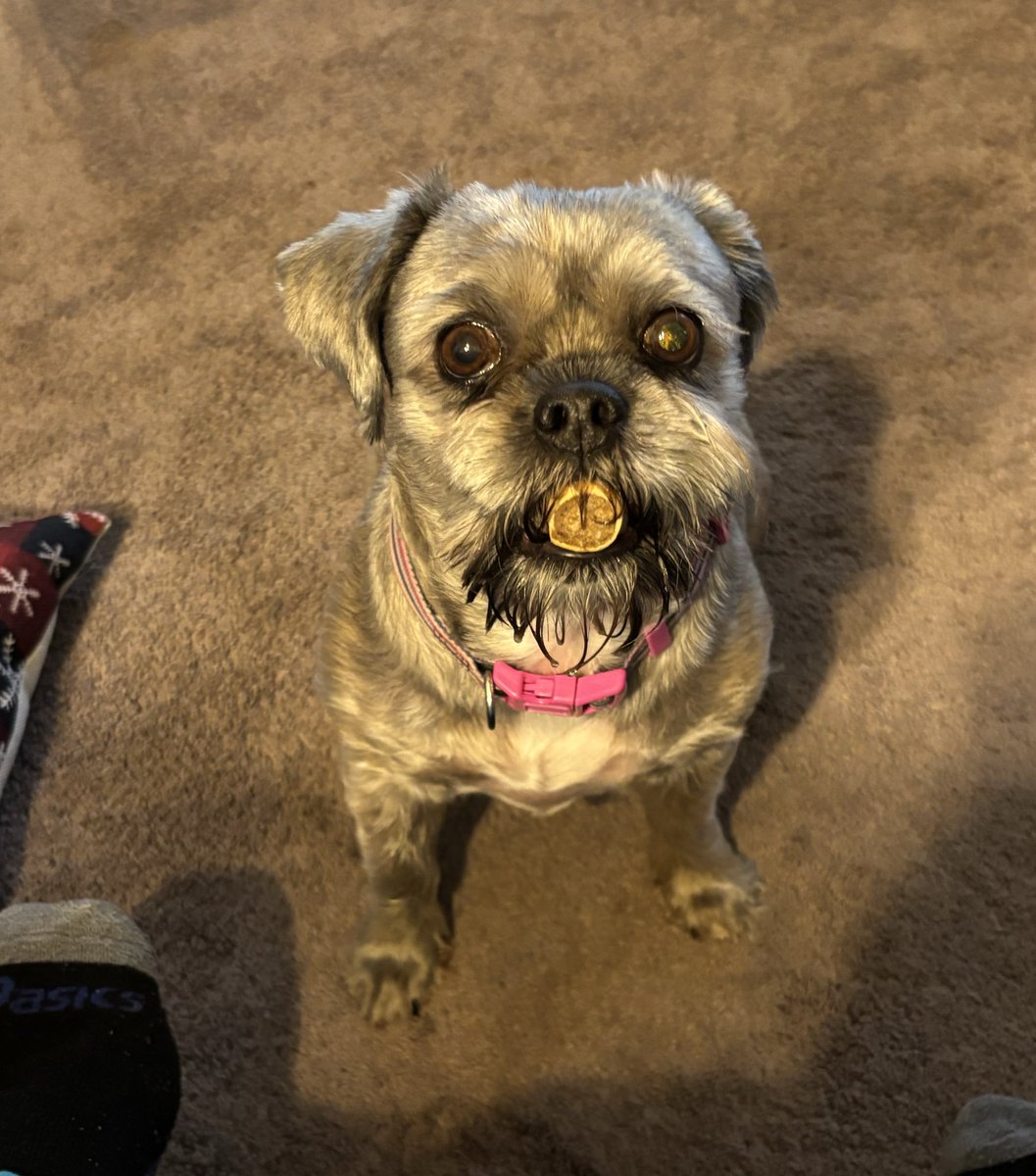 Thanksgiving is a lot about the turkeys. Not just the ones on the table but also those sitting around the table. Happy Thanksgiving.