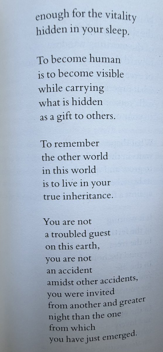 wildbuffaloman.eth tweet media