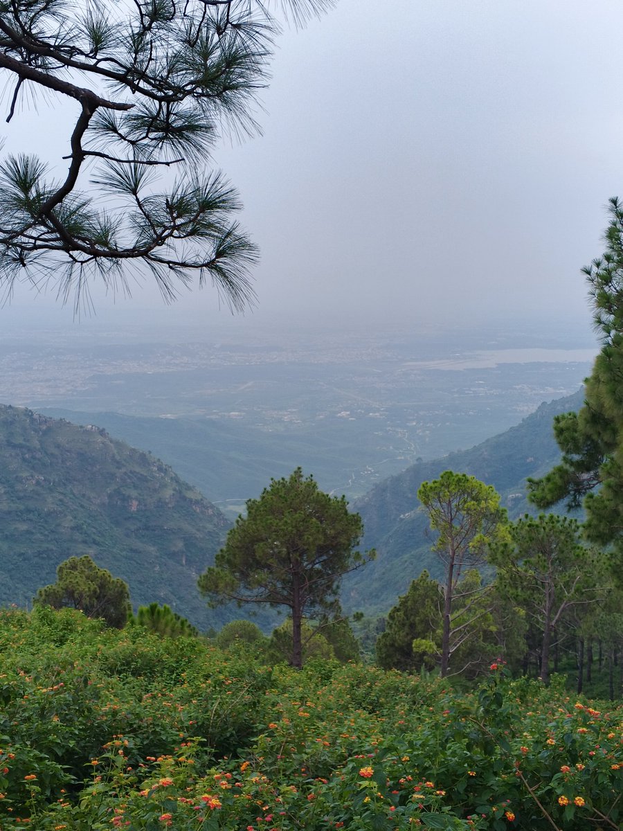 app_sey_matlab's tweet image. This is how I see you