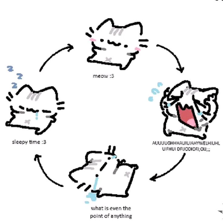 cutecorestar's tweet image. -