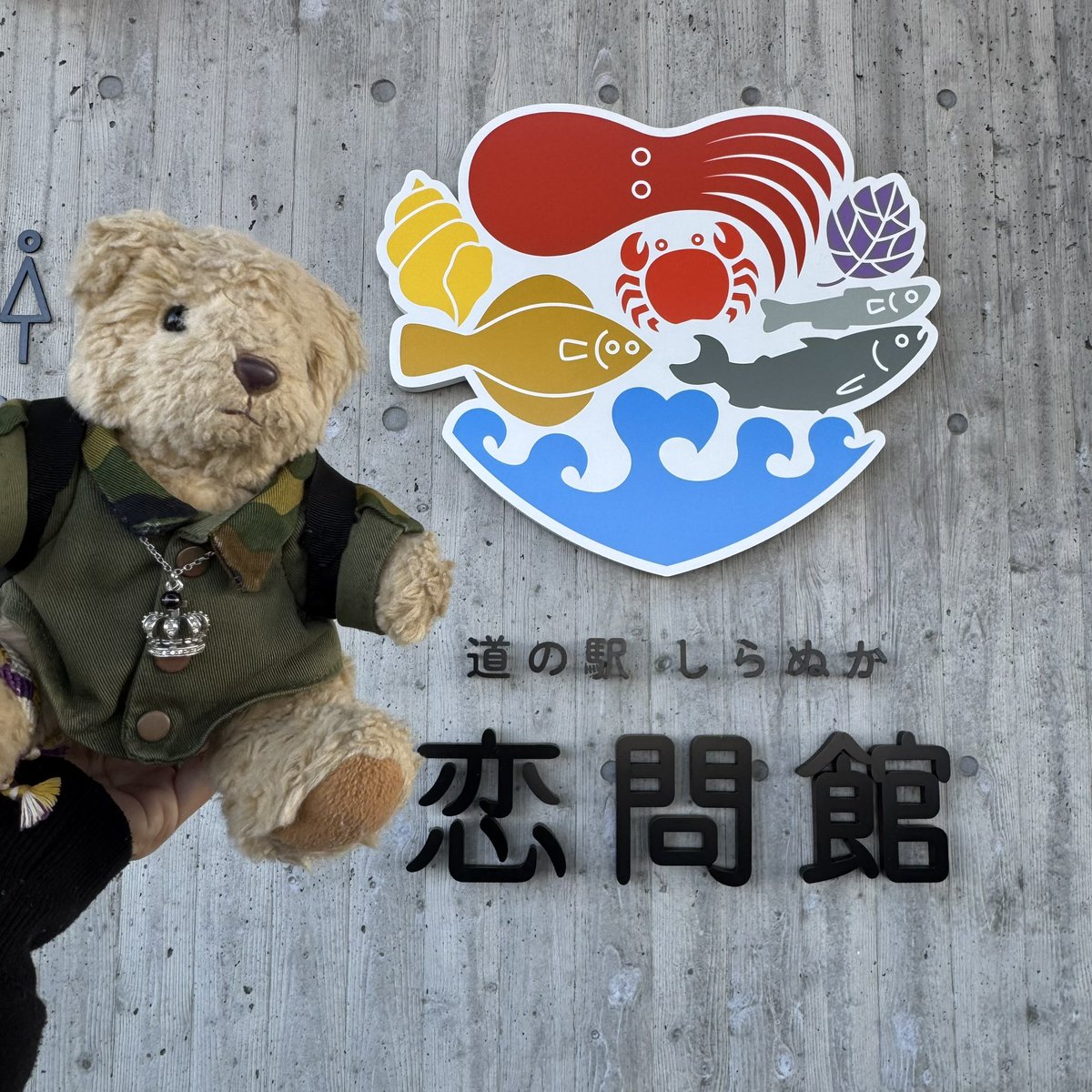 くまち (@kumachi1046s) / Posts / X