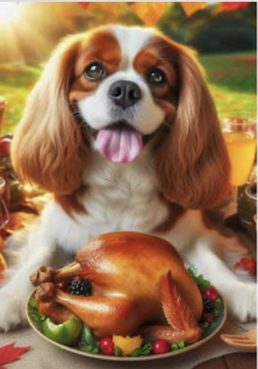 1720maryknoll's tweet image. Happy Thanksgiving to all 👍🏼❤️❤️❤️#cavpack