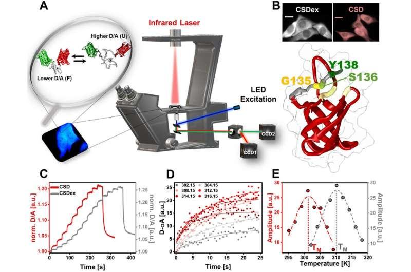 adv_chemistry's tweet photo. Unstable protein linked to cancer reveals dynamic behavior: https://t.co/KIluyoGV5b To Know More Information About Adv.Chemistry 2026 Visit Our Website: https://t.co/BGeJGXUjay #chemistry #sky星を紡ぐ子どもたち https://t.co/6IHt8wgjfy