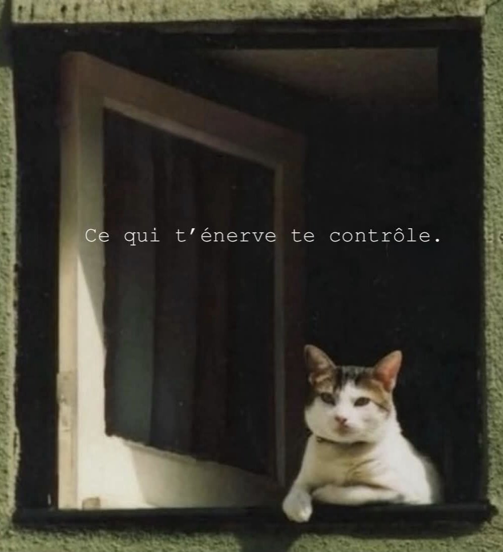 csibon27's tweet image. 🥰😇