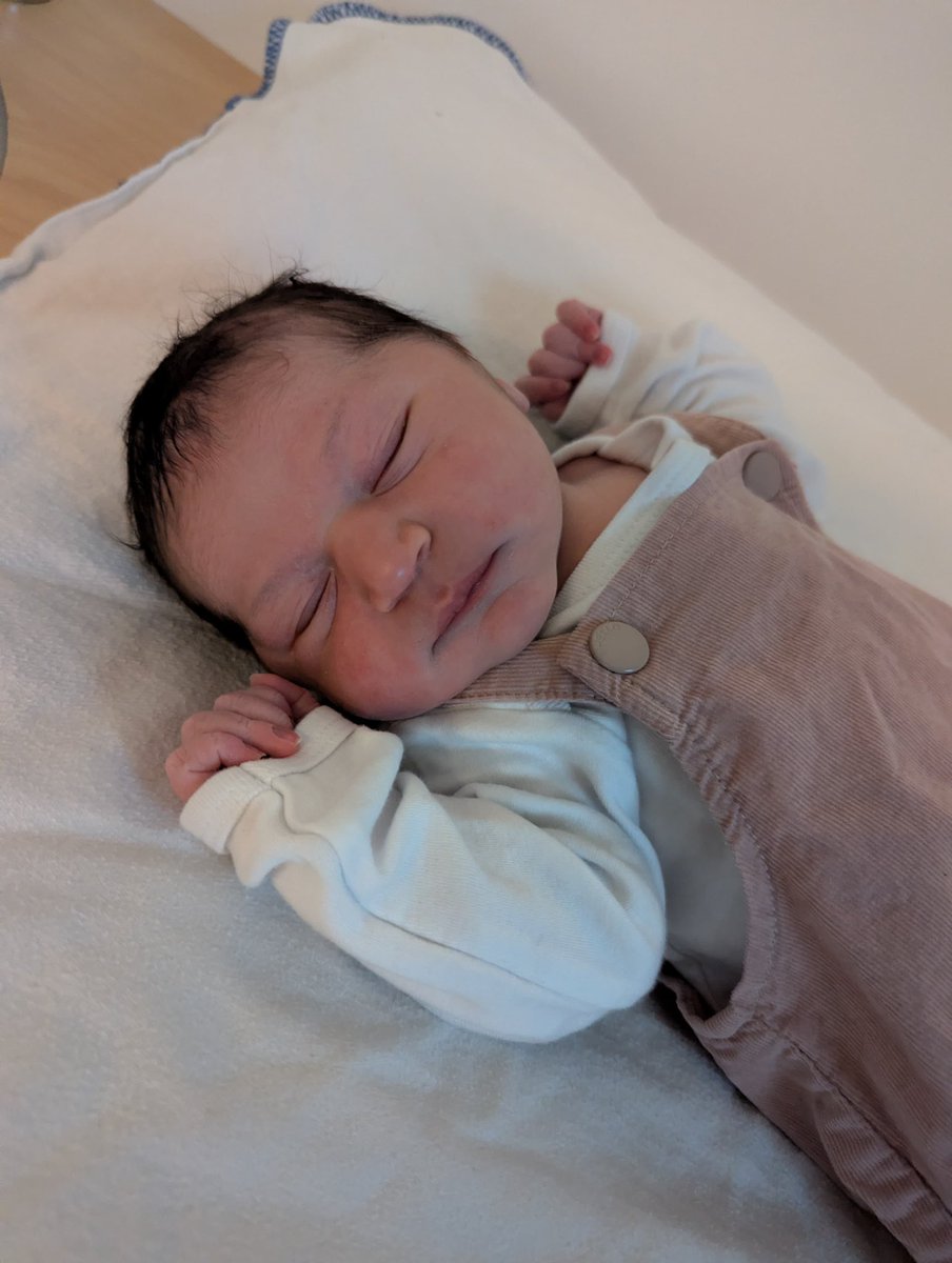 Jacoline Steegstra tweet media