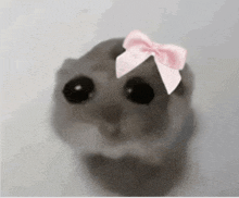 GRABE HINDI AKO NA BAN AHHAHAHAHAHAHHAHA

TY GUYS SM FOR WATCHING OFCC TYSM KUYA RICEE HUII PA ORDE RNGA PO PM1 SA TABLE ! @/ph_kuyarice ON TIKTOK!!! AND TWITCH!!

AND WE PASSED OFF THE RAID TO AN AMAZING WONDERFUL PIPINO <a href="/TinTxnnVT/">TinTxnn 🐈‍⬛🎐</a> AND SLAY MO NAMANN SM !!

SHOW THEM SOME <33