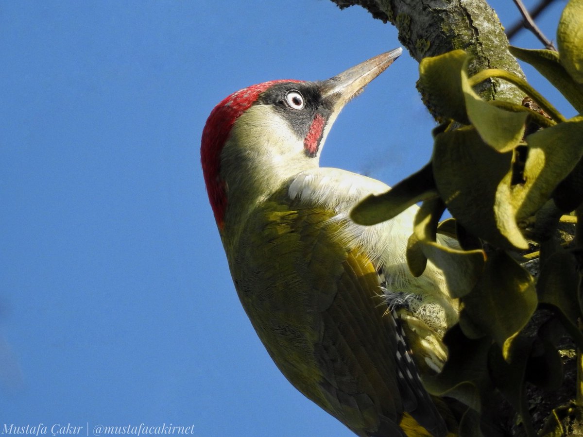 Yabanın sessizliğinde insan susar ve sonunda kendi sesini duyar.