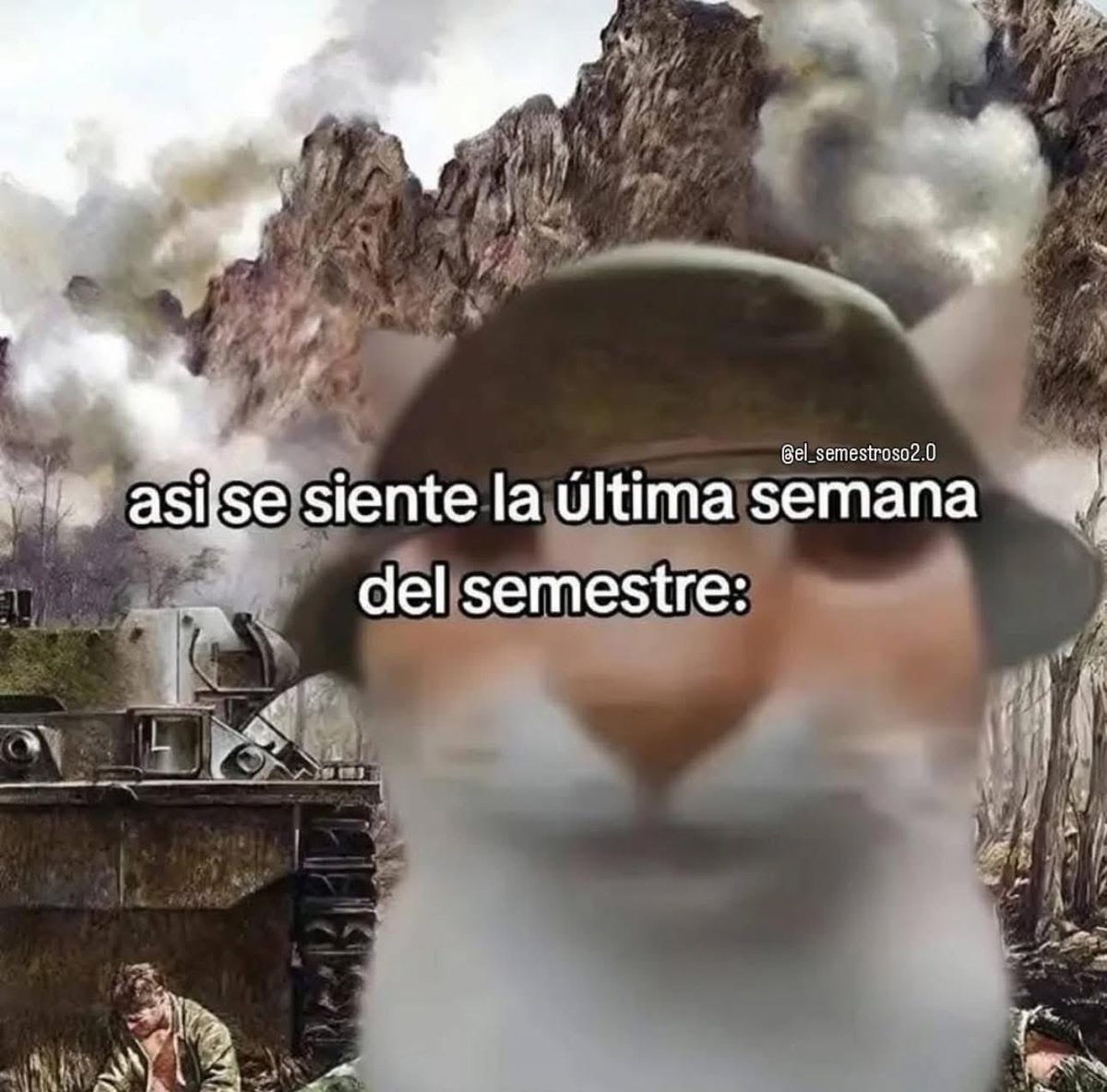 memes feos yo qué sé (@memefeos) on Twitter photo 