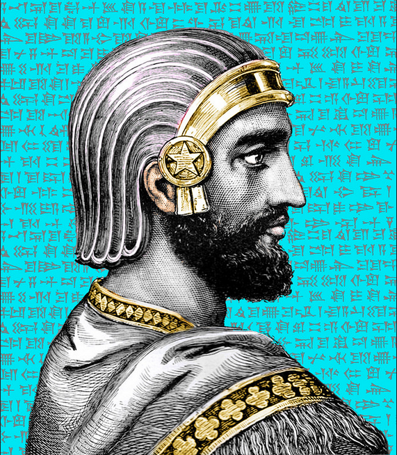 Cyrus Yari tweet media