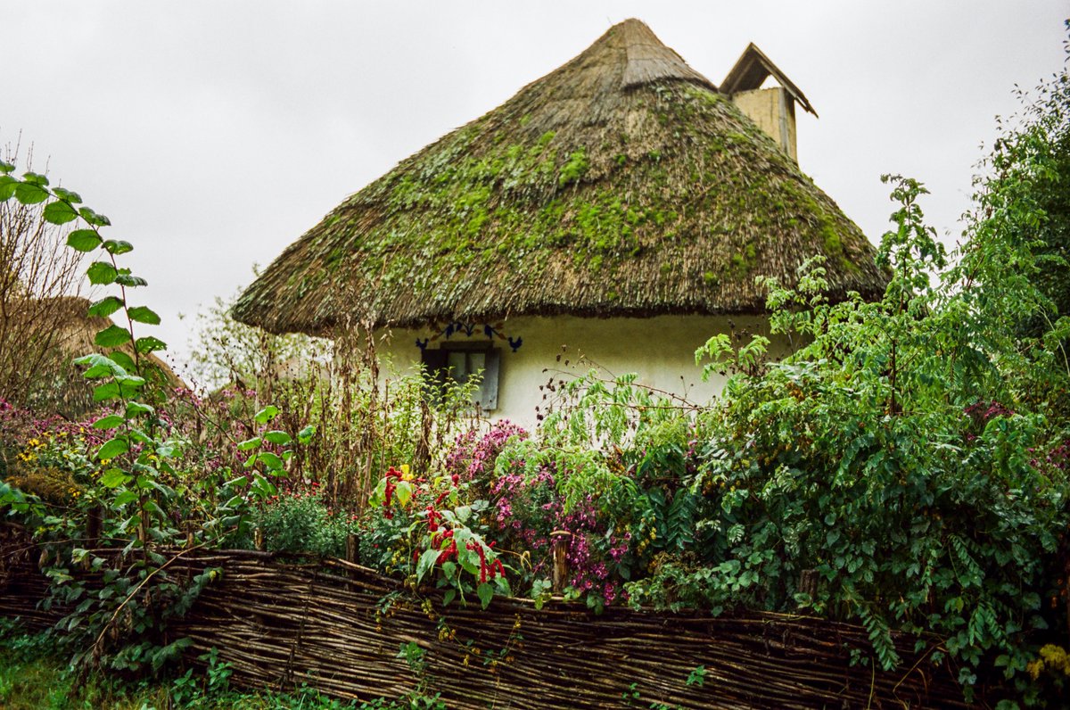 Осінь в Пирогові 🍂

🎞️: Kodak Vision3 250D
📷: Pentax MX + 40mm f/2.8