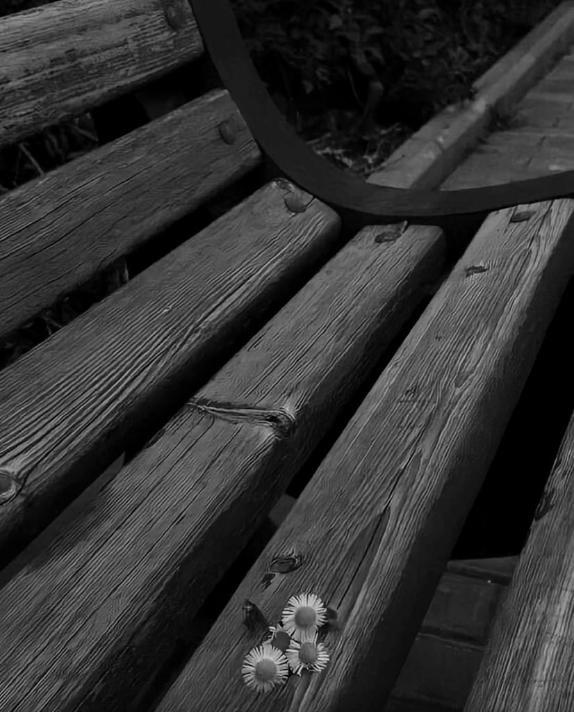 sosoo1_00's tweet image. تمر الأعوام بس ما هي مّرور الكرام
تاخذ من الروح ذكرى وامنيات وقصص 

          ذائقه