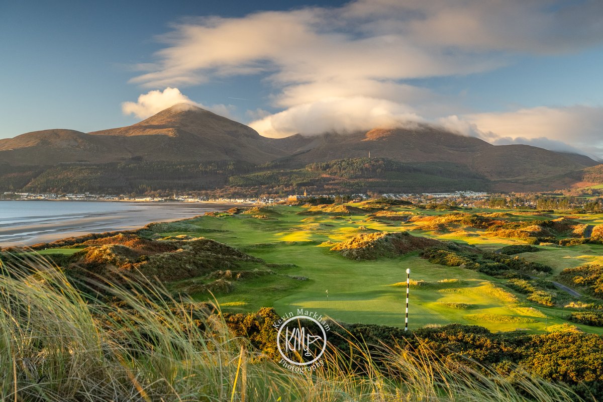 Kevin Markham tweet media