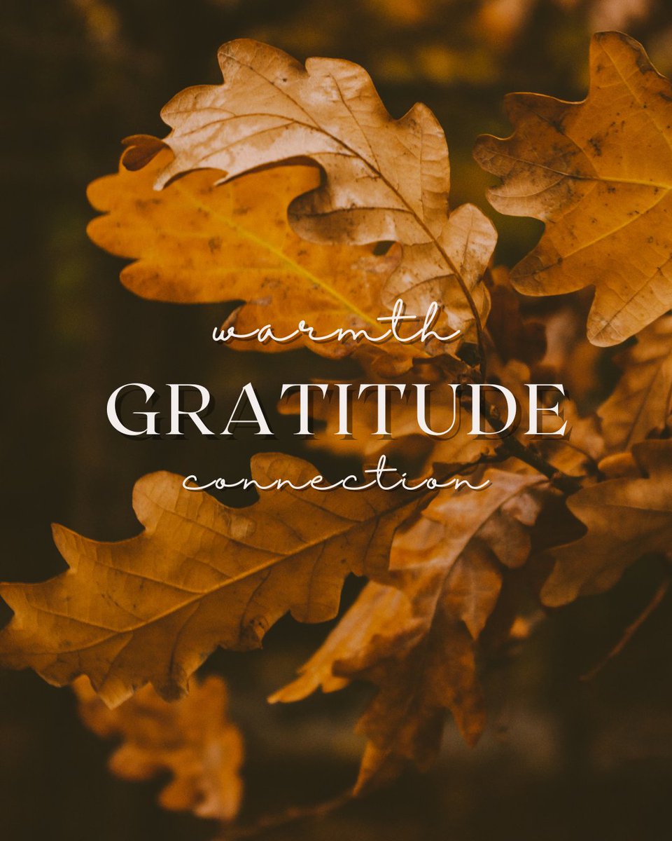 RobCon_Co's tweet image. Grateful for our crew, our partners, and the incredible communities we get to build with.
Wishing you a day filled with warmth, connection, and whatever makes you feel at home 💛

#TeamRobcon #Gratitude #WeBuildTogether #ThankfulSeason #RobinsonConstruction