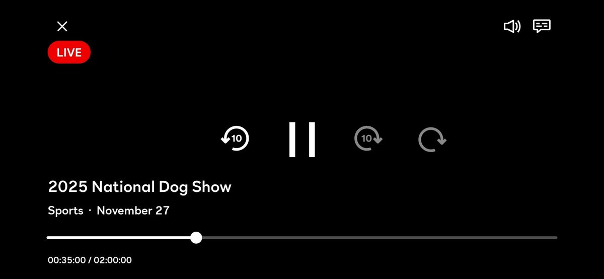 #Thanksgiving #Traditions 🐕