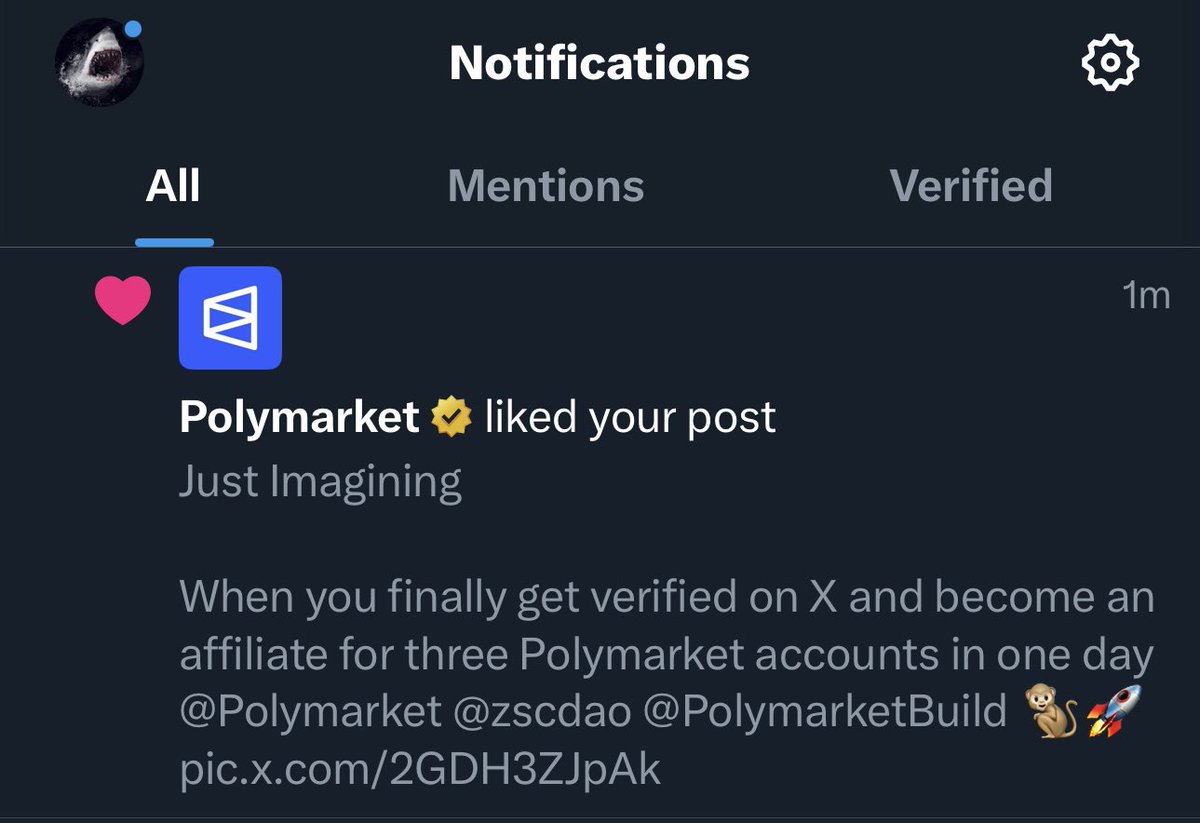 Even a single like is enough for me. Thank you for the attention, <a href="/Polymarket/">Polymarket</a>! 🦈❤️