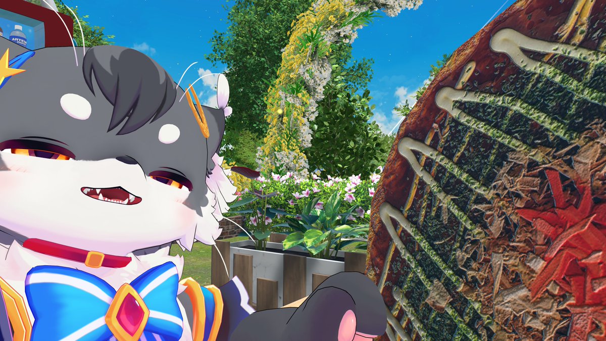 ネコチャン写真下手くそ選手権