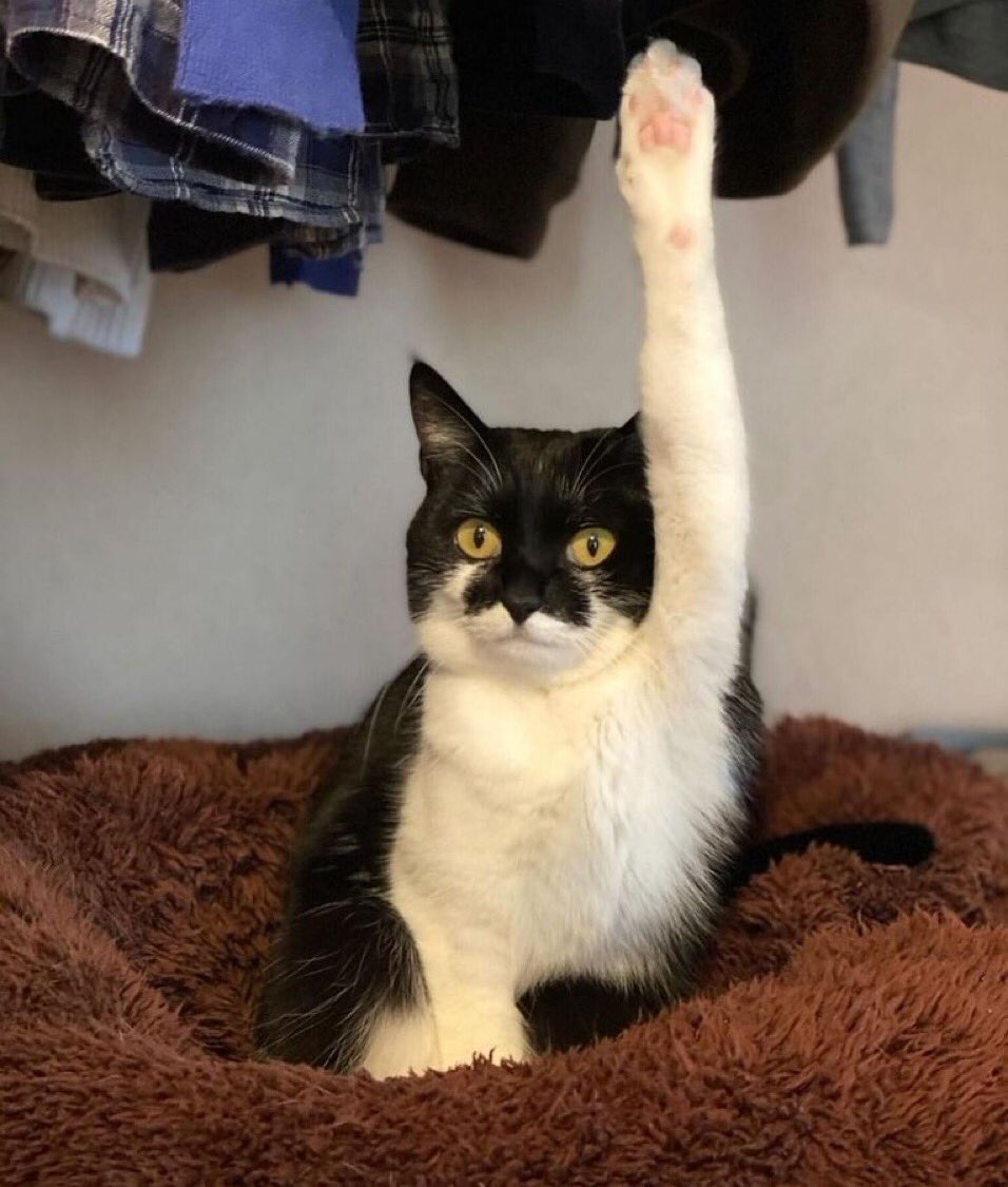 Hocam ben hakkımı helal etmiyorum.