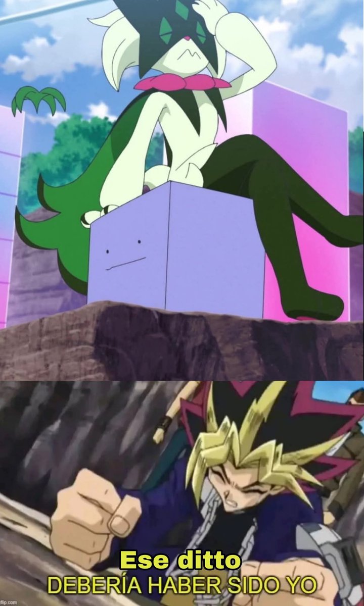 Kimu 🐱🌿 (@kimu185) on Twitter photo 