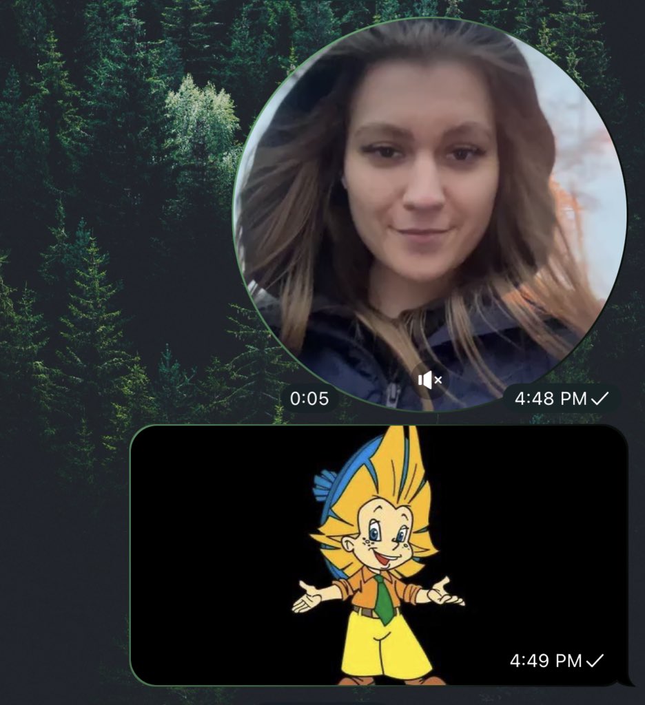 Родился мем «на какого персонажа из мультиков я похожа»