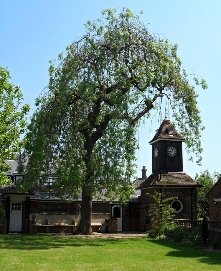 mgbed's tweet image. Last night was telling the taxi driver the true story about the Panacea Society that we passed, and that Jesus would return to live here.  He laughed saying Im Muslim, we believe a lot of stuff... but Jesus returning to live in BEDFORD!!!  Brilliant